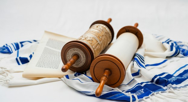 Hebrew Weekly Torah Portion 2025